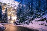 一条宁静的蜿蜒道路穿过白雪皑皑的森林，路旁树木在晴朗的冬日天空下结着霜