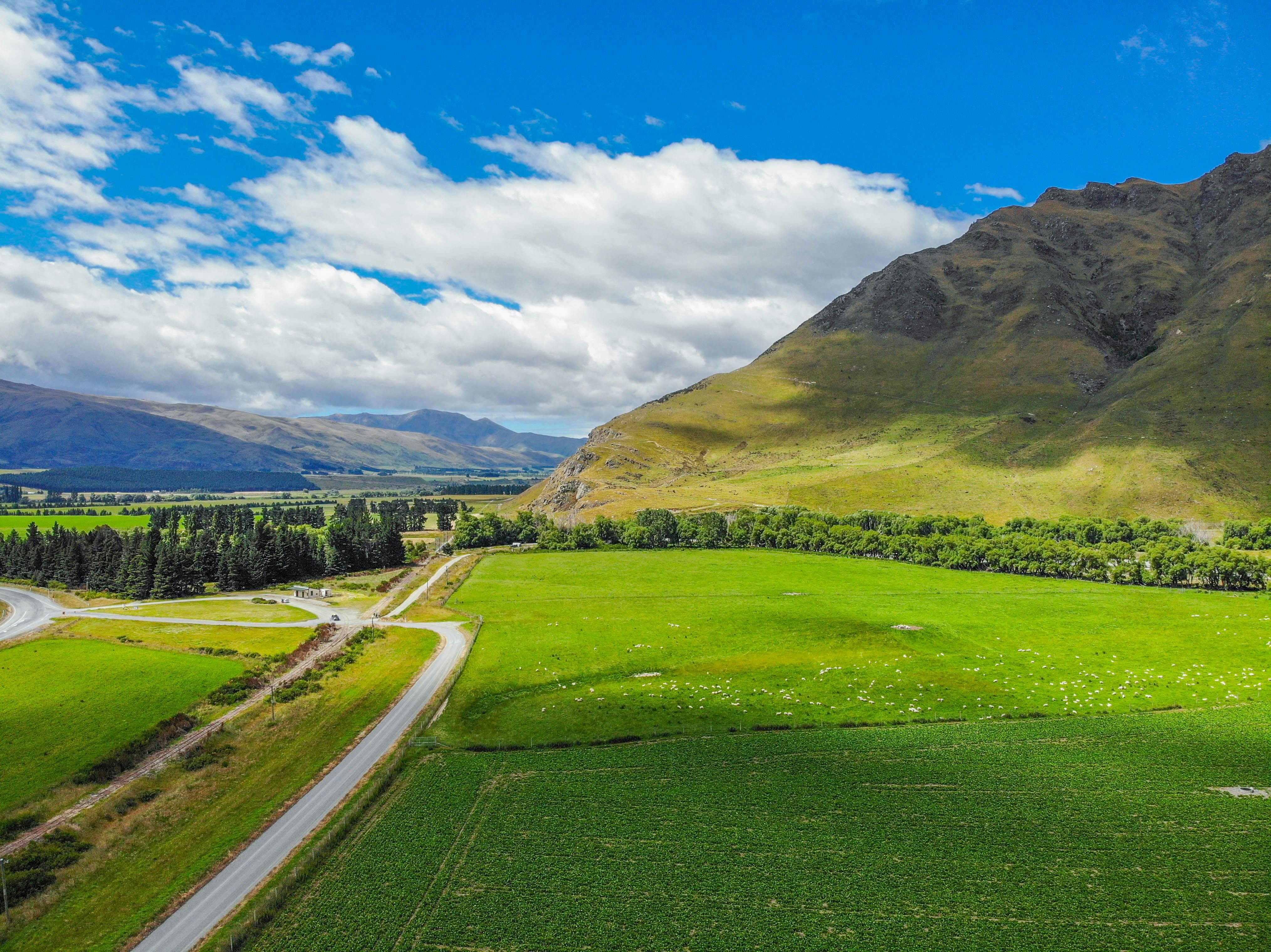 general travel new zealand ltd — Photo by Dasun Ransinghe on Pexels