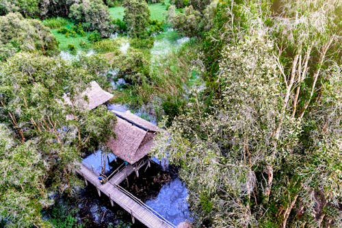 Fotobanka s bezplatnými fotkami na tému cay, giang, nhà ở