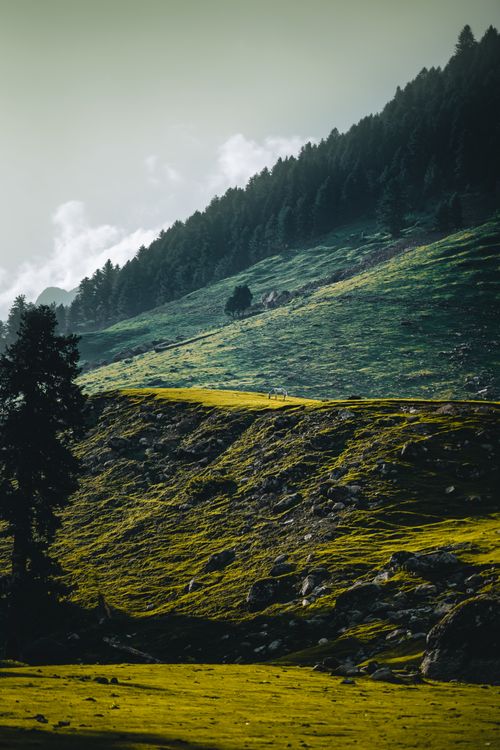 Free Peaceful mountain scene with verdant slopes and trees under clouded skies. Stock Photo