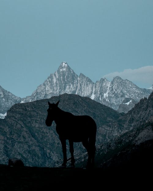 Gratis stockfoto met bergtop, groene bergen, heldere lucht