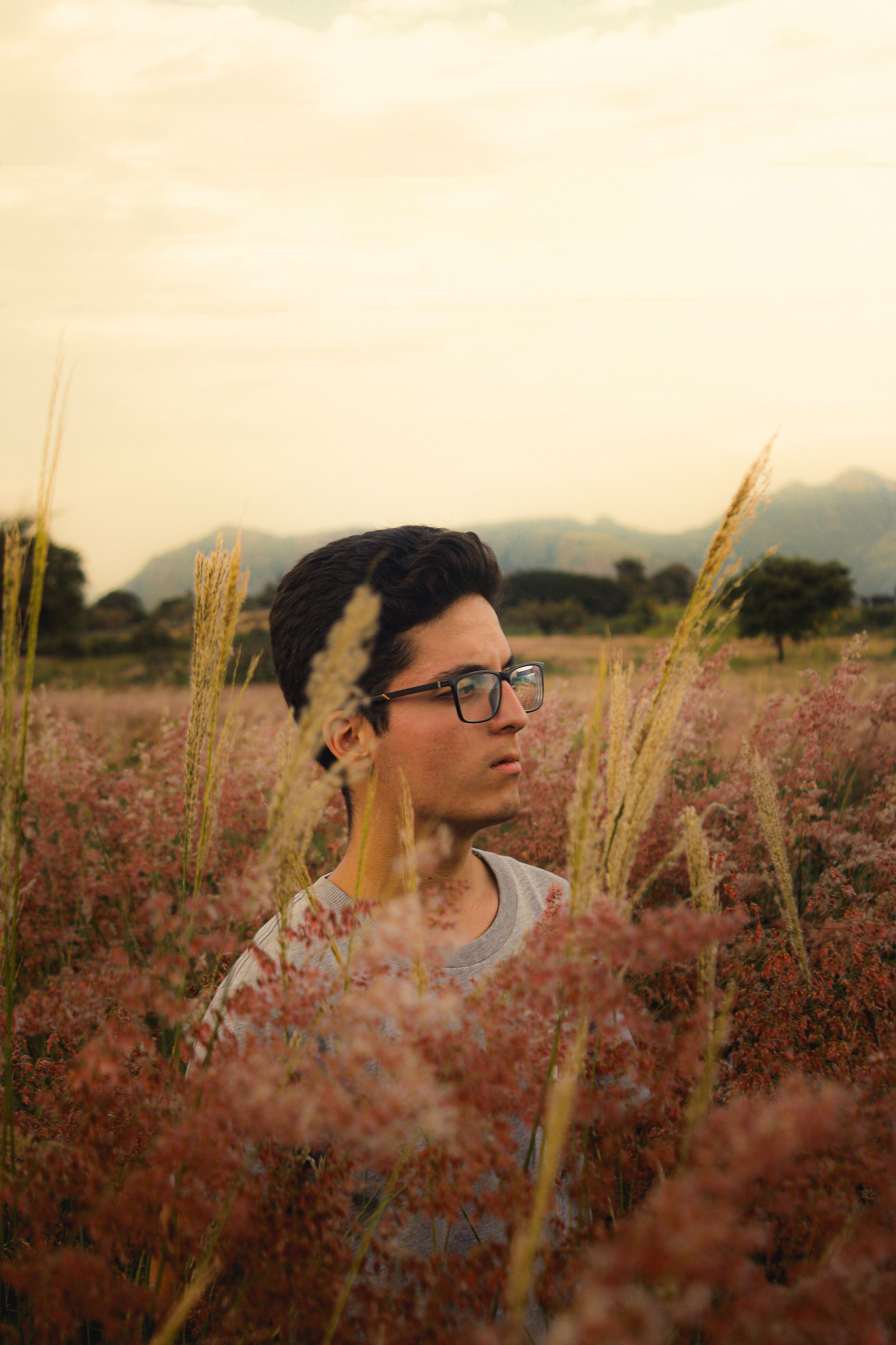 A Man Standing on the Grass Field · Free Stock Photo