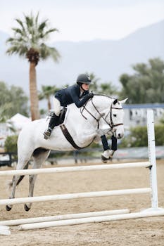 Woman Doing Show Jumping