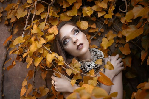 Free Photo of a Woman Near Yellow Leaves Stock Photo