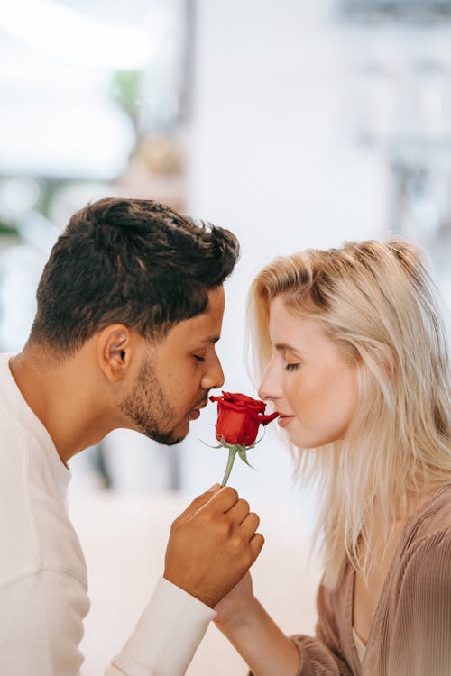 Close-Up Shot of a Romantic Couple Holding a Red Rose Flower