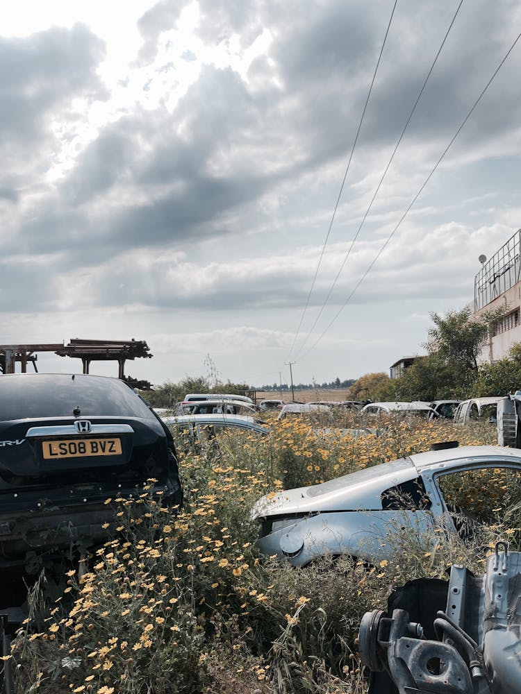 Cars In A Junkyard