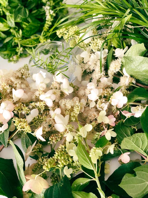 White Flowers with Green Leaves