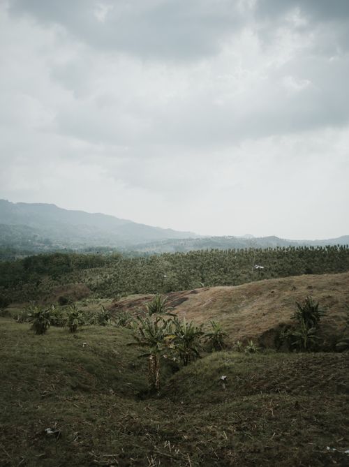 Free Serene landscape of rolling hills under a cloudy sky, showcasing lush greenery and a tranquil countryside setting. Stock Photo