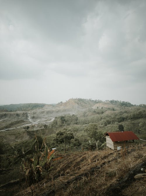 คลังภาพถ่ายฟรี ของ กลางแจ้ง, การเกษตร, ชนบท