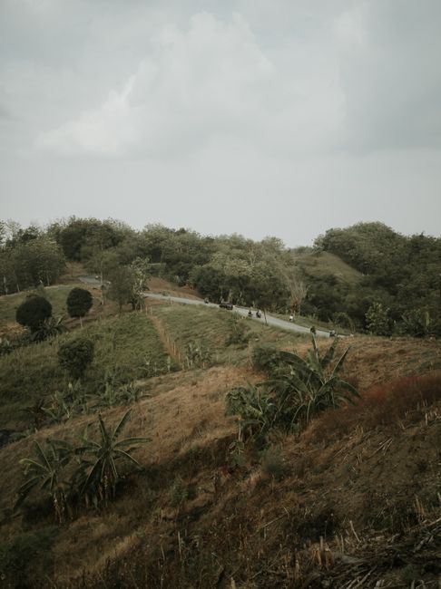 A tranquil rural landscape featuring rolling hills, diverse vegetation, and a distant road beneath a cloudy sky.