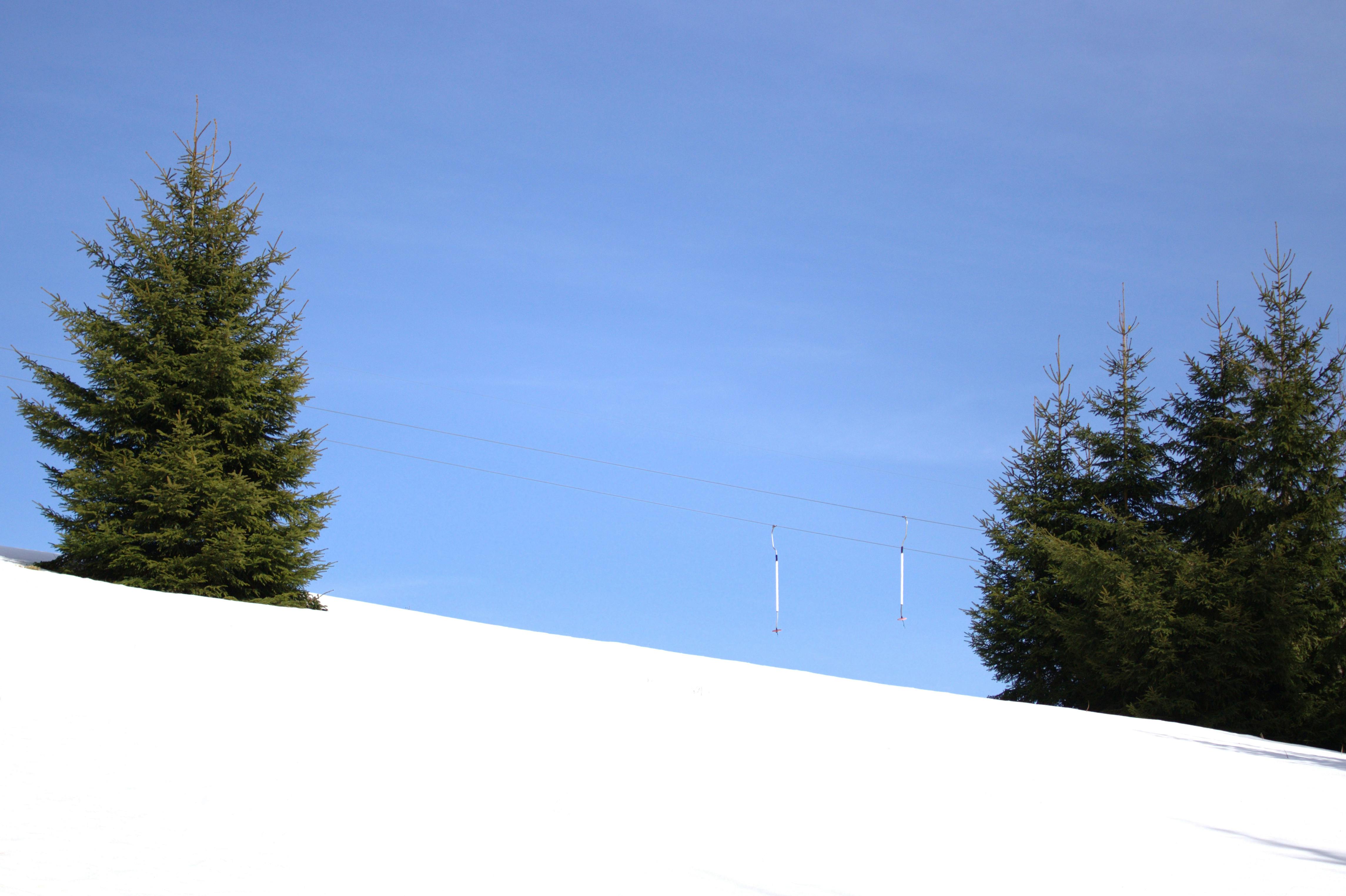 Free stock photo of blue sky, pine trees, ski lift