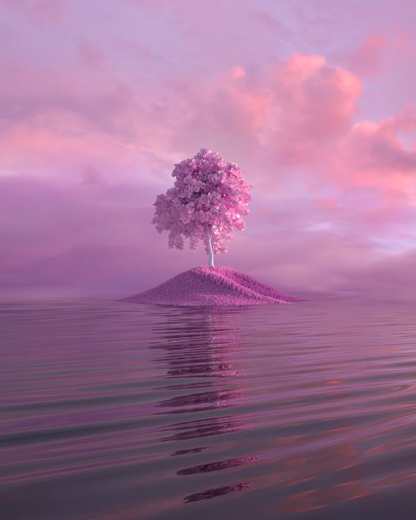 Blossoming tree on a small island, render by Mo Eid on Pexels