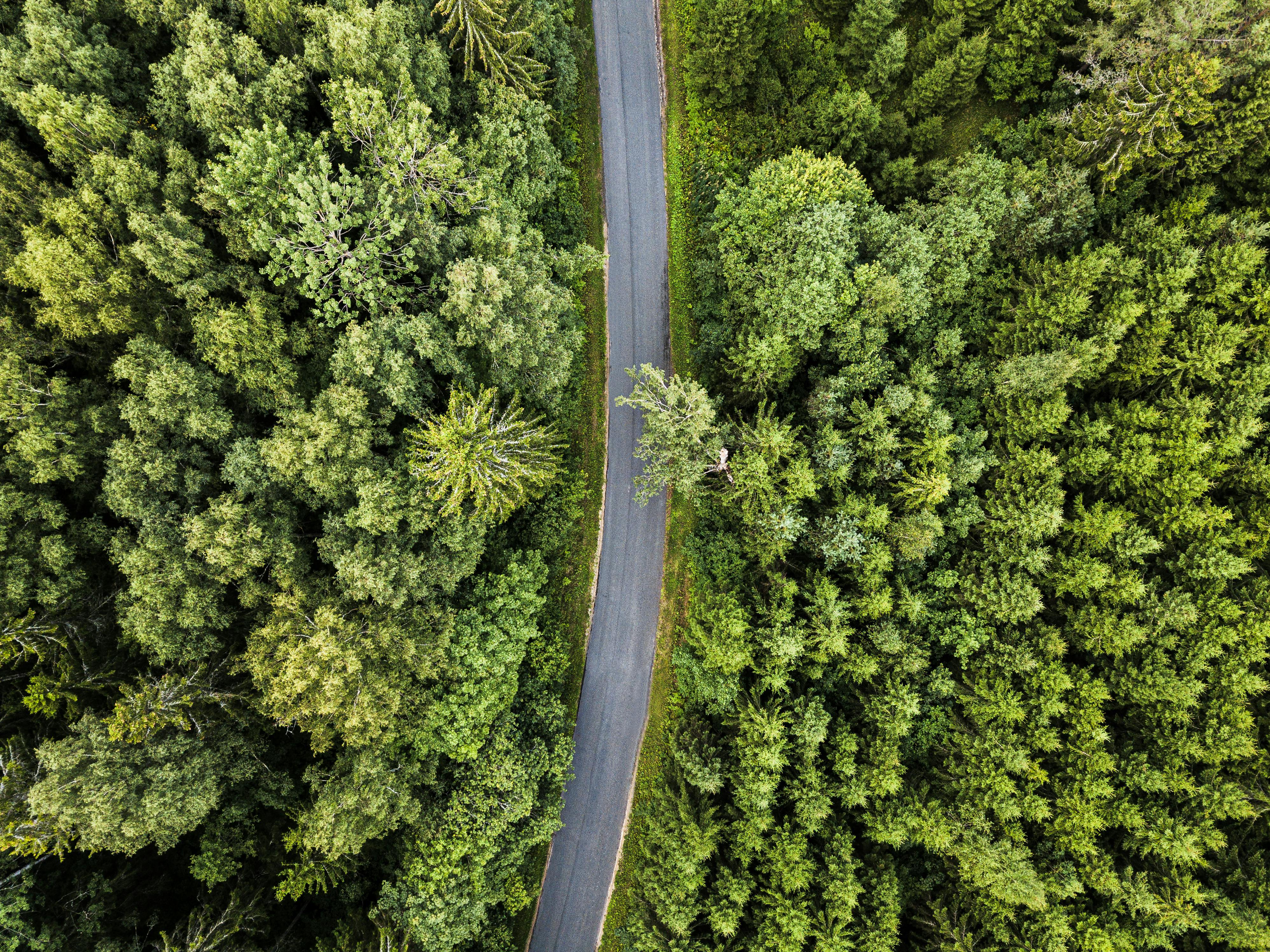 corporate governance esg esg what is governance — Photo by Alari Tammsalu on Pexels