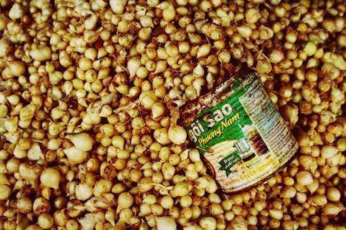 ベトナム, 市場, 缶の無料の写真素材