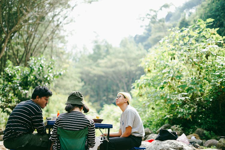 People Camping In A Forest