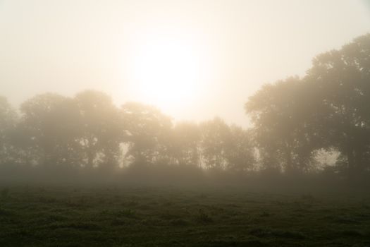 A serene misty morning with the sun rising over a foggy grass field and trees in Gescher, Germany.
