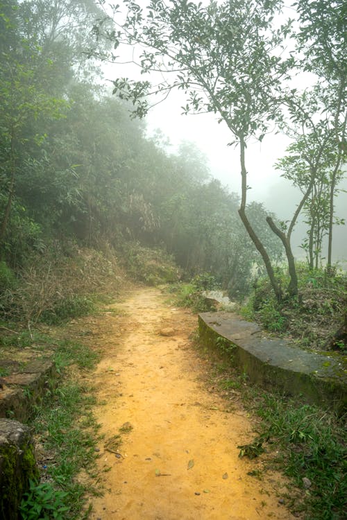 Δωρεάν στοκ φωτογραφιών με background, meghalaya, Ανατολή ηλίου