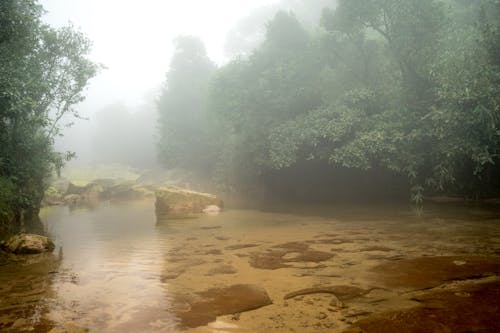 Δωρεάν στοκ φωτογραφιών με background, meghalaya, Ανατολή ηλίου