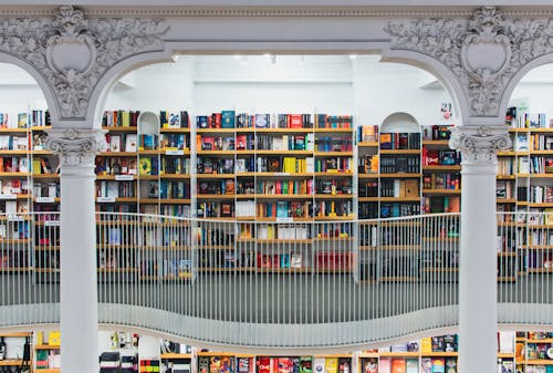 Books on Brown Wooden Shelf