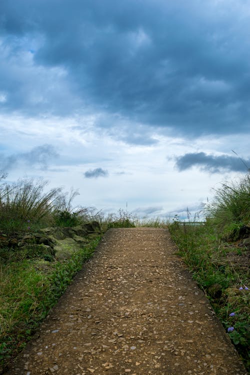 Free stock photo of adventure, altitude, asia