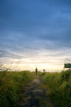 宁静的乡村，日落时草地上有一个寂静的身影，处处洋溢着宁静与自然