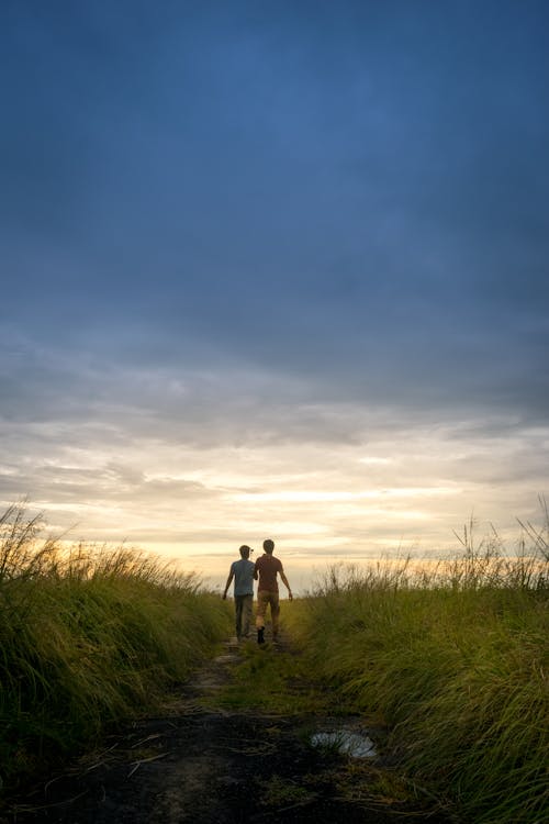 Základová fotografie zdarma na téma Asie, barevný, brána