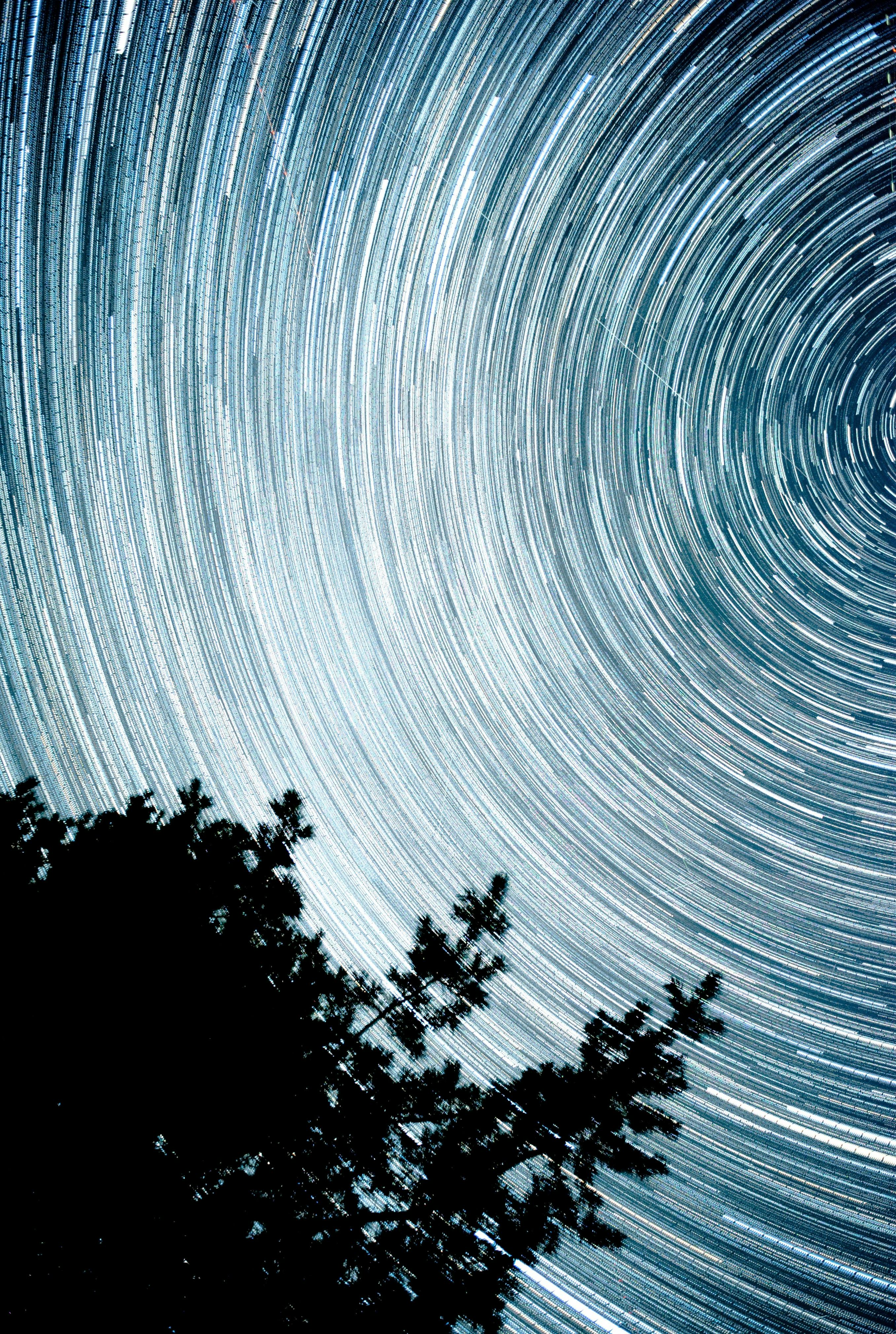 Stunning long exposure shot of star trails above silhouetted trees at night.