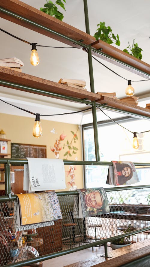 Light Bulbs Hanging on the Wooden Shelves