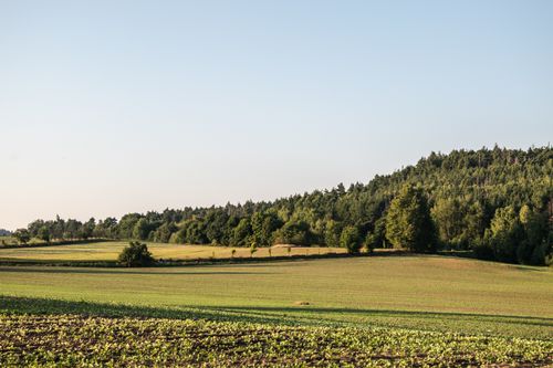 Free A tranquil rural scene featuring expansive fields bordered by lush forest under a clear sky. Stock Photo
