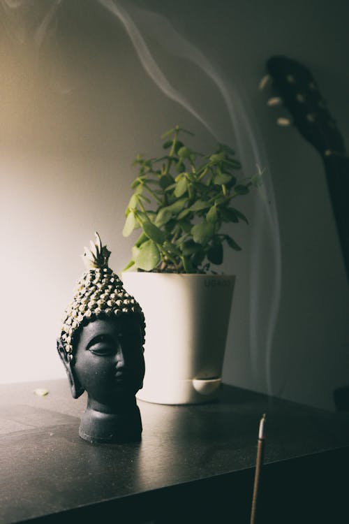 Free stock photo of alone, buddha, buddhism
