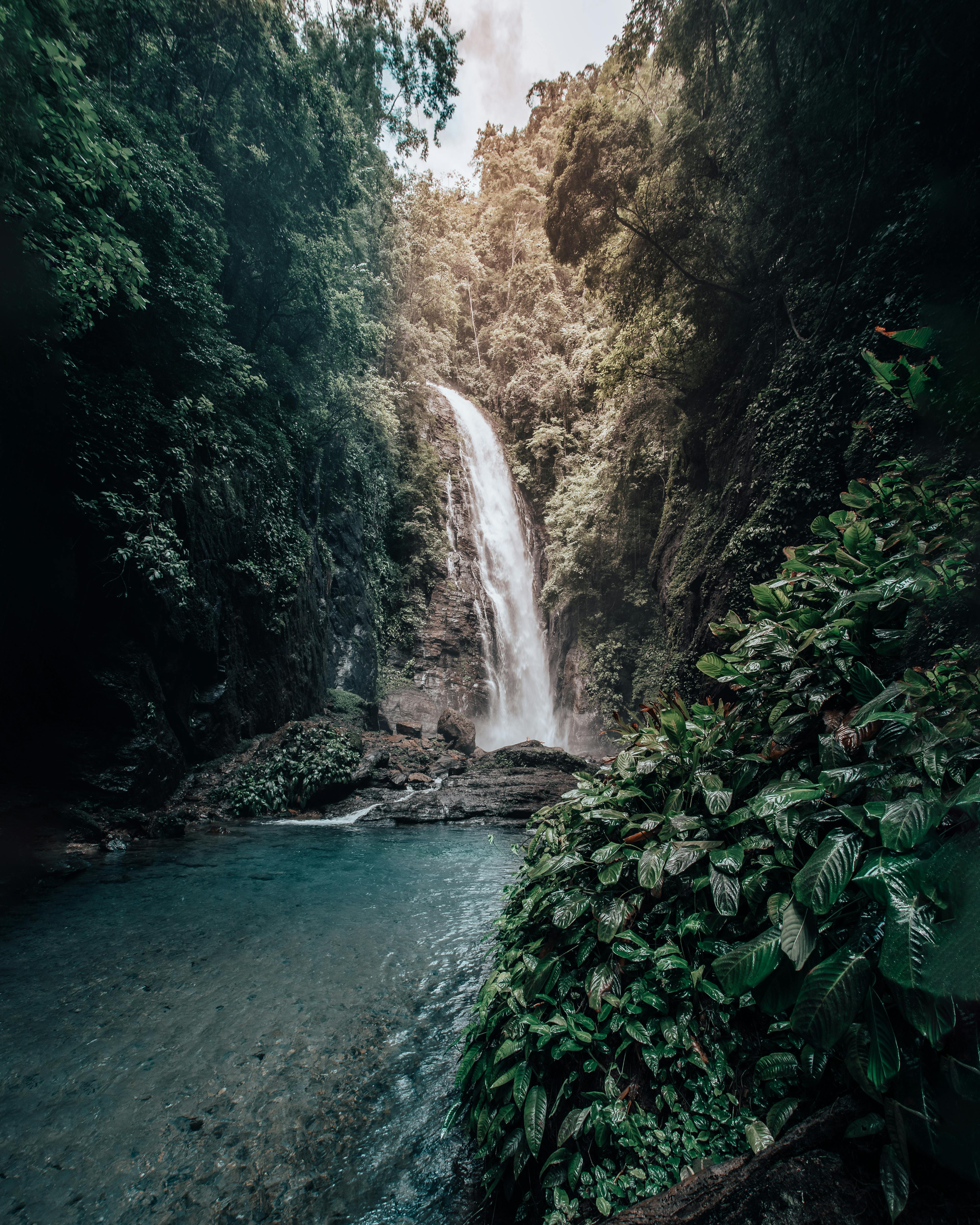Explore the serene beauty of a waterfall cascading through the lush Brazilian rainforest. Perfect for nature travel enthusiasts.