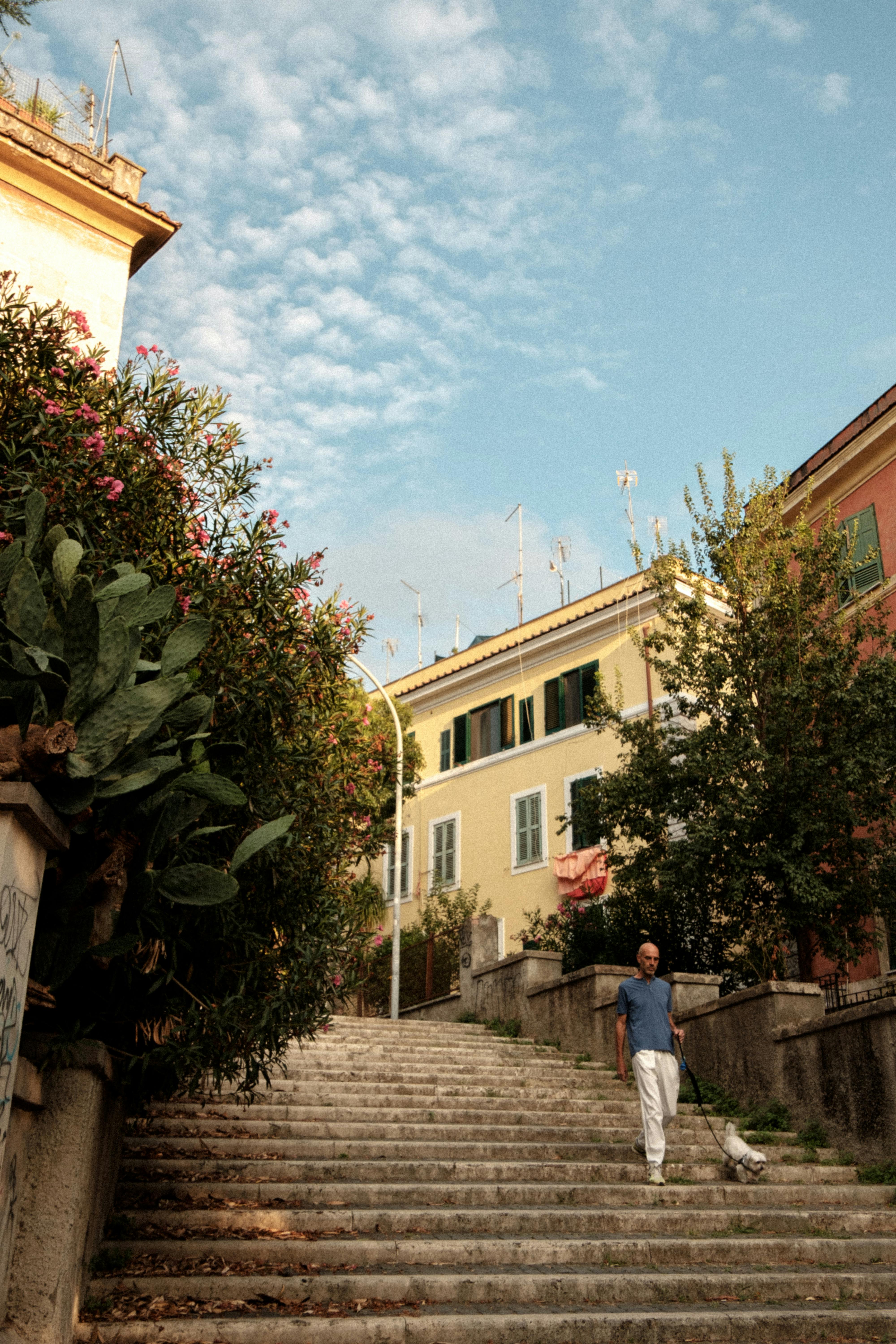 A man walking his dog down a picturesque staircase lined with greenery on a sunny day.