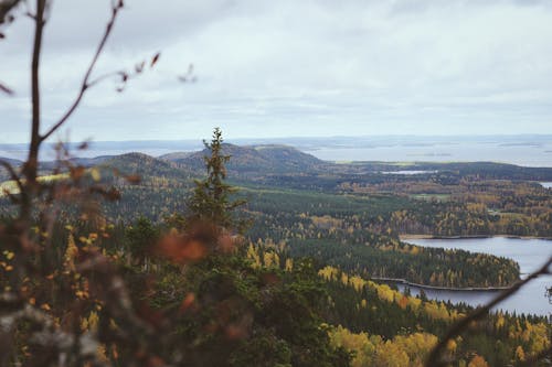 Lake in Autumn Nature Landscape