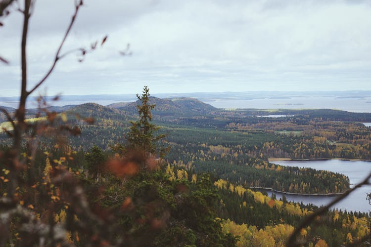 Lake In Autumn Nature Landscape