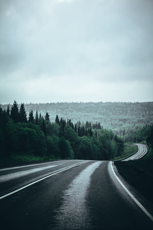 Gray Asphalt Road Between Green Trees Under White Sky