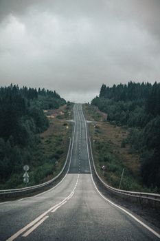A solitary road stretches through a misty forest under a cloudy sky.