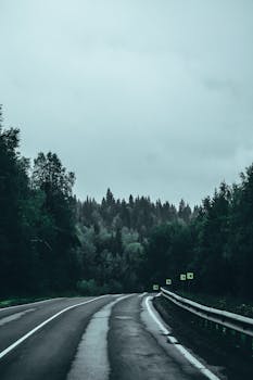 A deserted highway stretches into a dense forest under a cloudy sky, perfect for wallpapers.