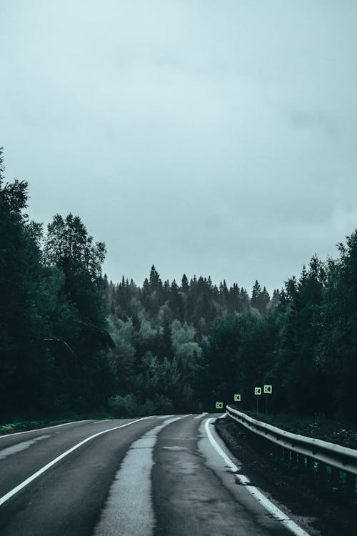 A Road Leading to a Forest