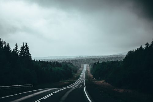 Free Moody landscape view of a solitary road through lush forest under overcast skies, perfect for serene travel scenes. Stock Photo