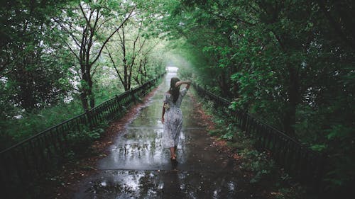 Woman in Dress Walking on Wet Paved Pathway 