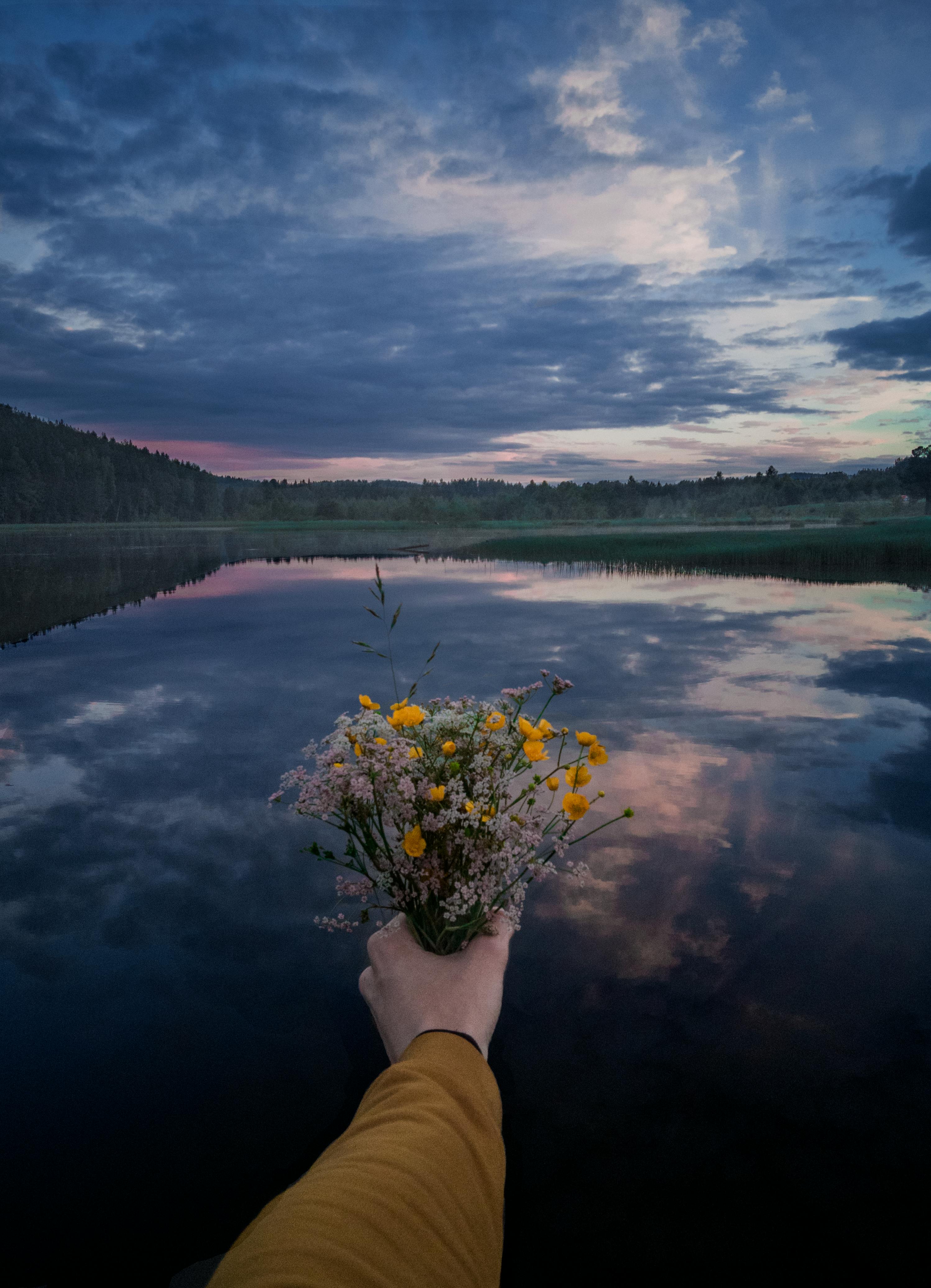 Miễn phí Ảnh lưu trữ miễn phí về ánh sáng mềm mại, bầu trời, bình yên Ảnh lưu trữ