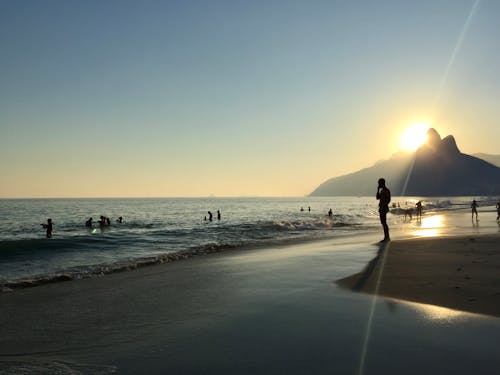 Silhouette of People Walking on Beach during Sunset