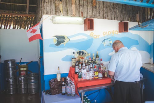 Foto profissional grátis de bar, barra, bebidas alcoólicas