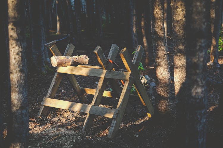 Wooden Stand In Forest