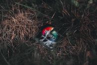 Free stock photo of abandoned, action, bird