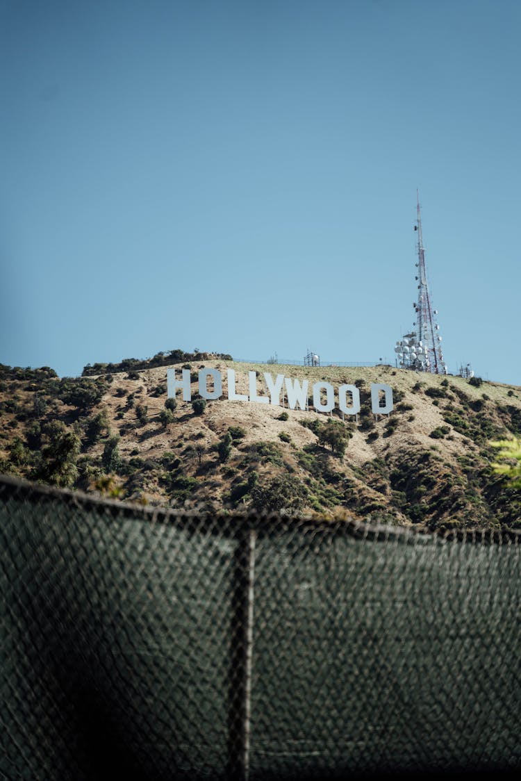 Mountain With The Hollywood Sign 