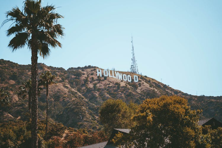 Photo Of The Hollywood Sign 