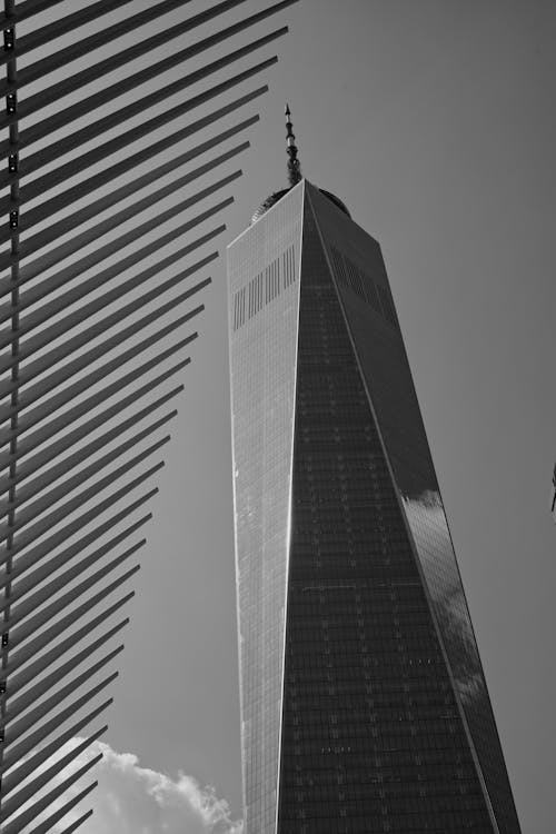 世界貿易中心, 低角度拍攝, 單色 的 免費圖庫相片