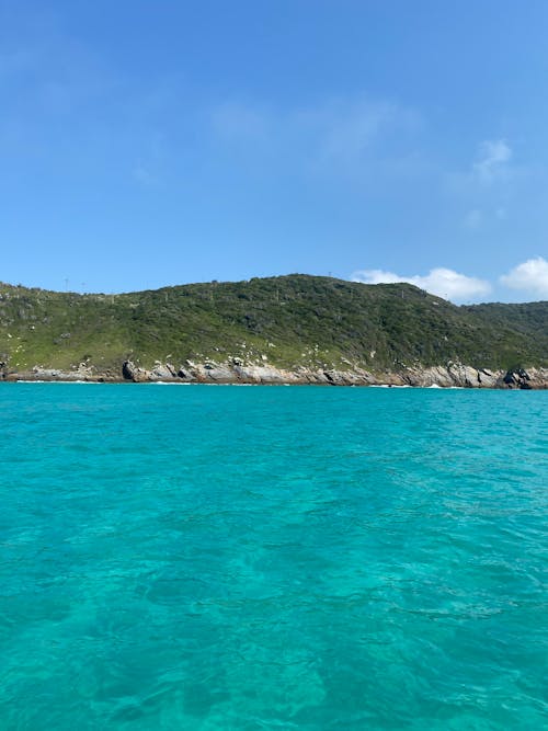 Clear Sky over Sea Shore