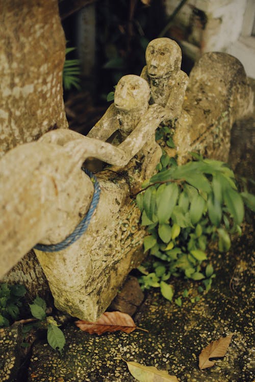 Foto profissional grátis de ancião, arte, escultura